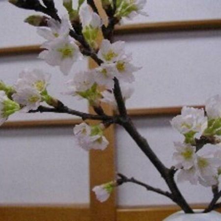 סקאטה Wakaba Ryokan / Vacation Stay 29366 מראה חיצוני תמונה